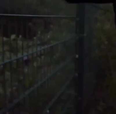 Made with pride in Romania