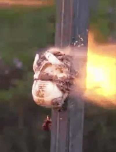 i got banned from the discord for being silly