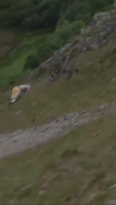 When you buy the dip