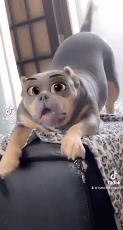 Doggo caught on Disney filter