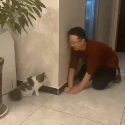 One of my favorite videos