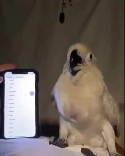 Que tal lembrar desses sons de uma maneira feliz? (Aumenta o volume)