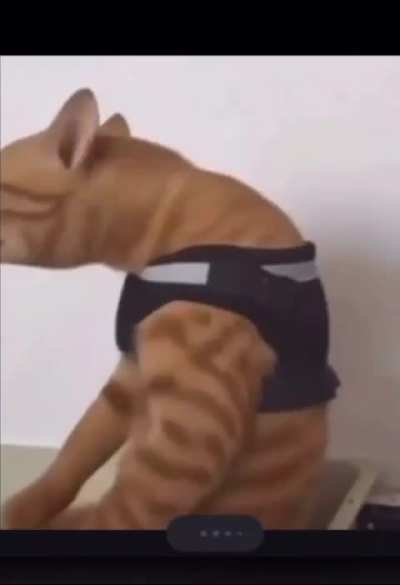 ✋👉☝️👇👆🫲🖐️🤚🤙🫱mss.ss:s.ss.,..zszzssss