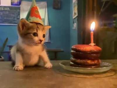 Happy birthday Kitty 🥳