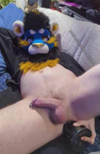 Tummy-bulging horse dick.