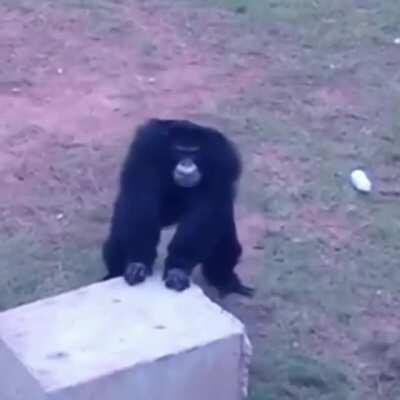 Balkanoid historical anthems