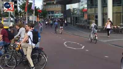 Ban cars and this is the result. Vredenburg, Utrecht, Netherlands ...