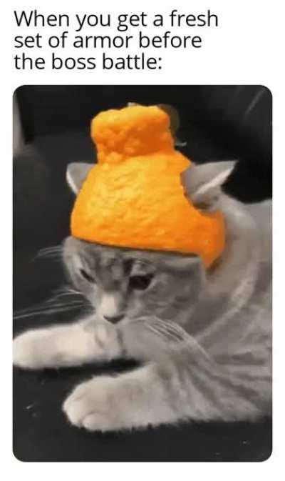 Helmet of orange ; grants +20 def +20 attack +50 cuteness
