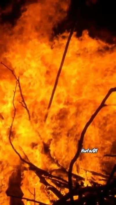 Dholakpur conspiracy 