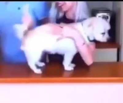 Let’s do that again