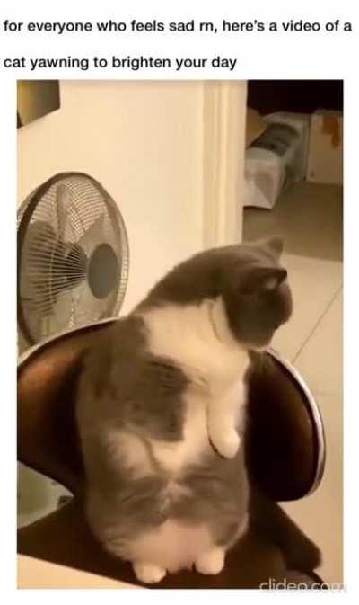 A yawn that can swallow a house!