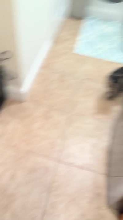 Bought “Used - Good” J5+ off Amazon and it’s a disaster