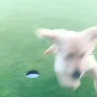 Hole In One, Professional Golfer