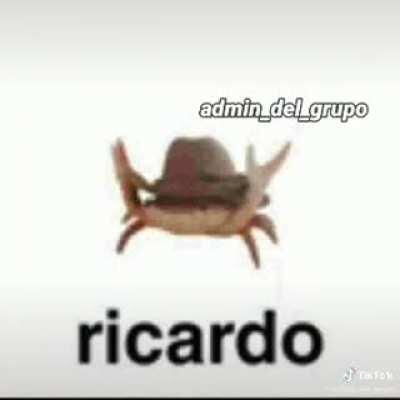 Amo Ricardo 😔✊
