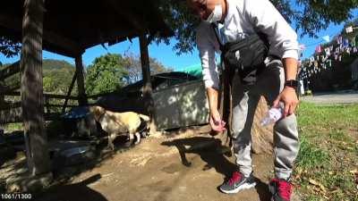 WCGW giving your dog the rest of your water?