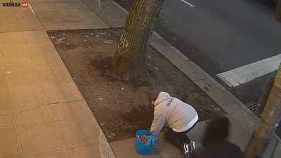 Man kicks a woman gardening outside in the face, seemingly at random, reportedly kicked another woman in the face following this episode