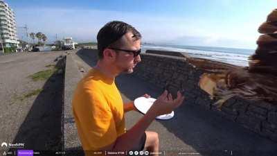 Birdie with sick moves kills man that is savoring his meal
