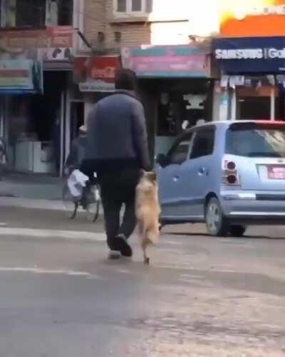 The most surprising 15 seconds of my life by far