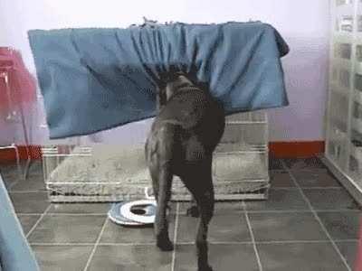 I take my blanket and go to sleep.