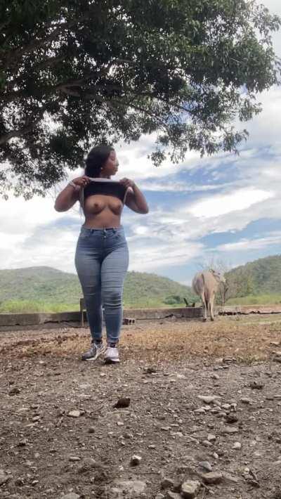 should i ride the horse or you?