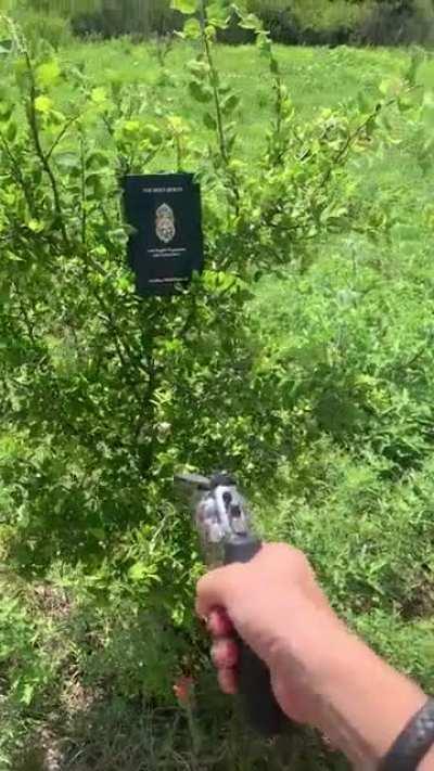 🅱️ubbas 🅱️issing 🅱️awt 🅱️and 🅱️oads.