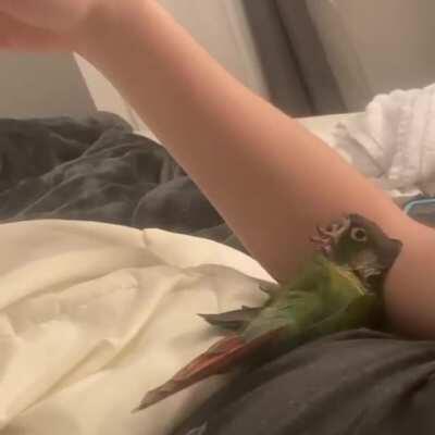 And how’s your anniversary of the pandemic going?