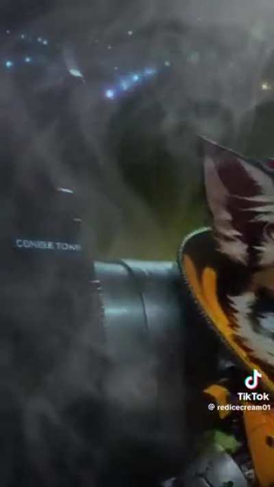 Poetry if and Spongbong smork weed.