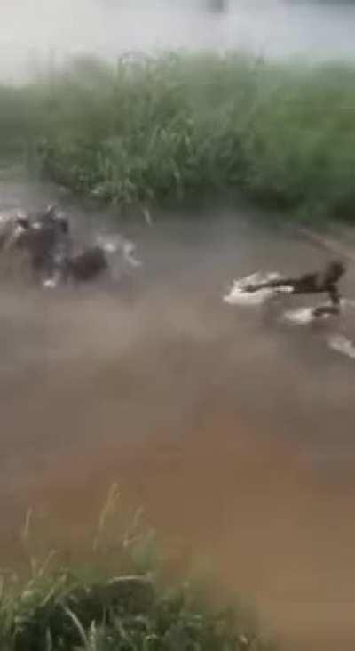 Рыбалка (инструкция).