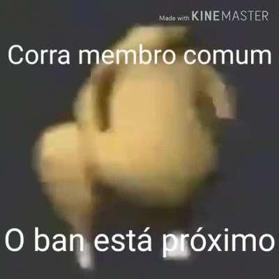 posso ser adm *analise