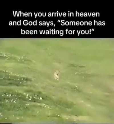 You may not believe in it, but its still a nice thought.