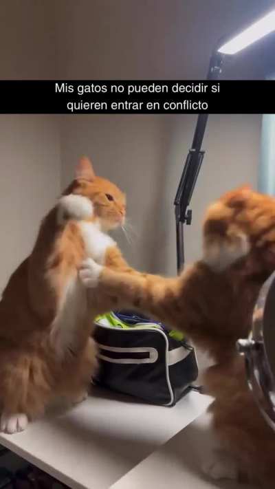 No winners in this battle