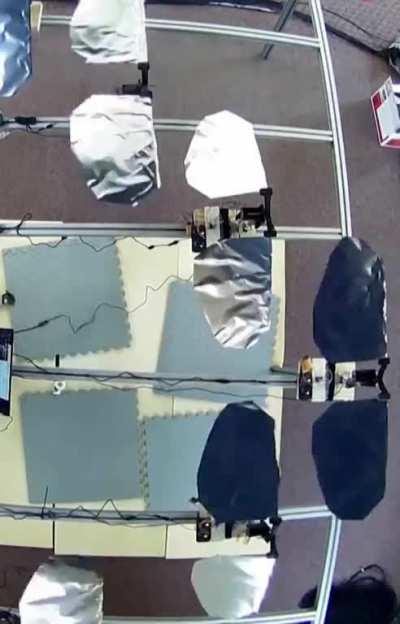 Dead bird drones by Mexican researchers