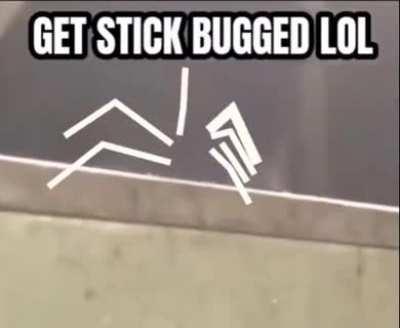 They added stick bugs into Factorio 1.0