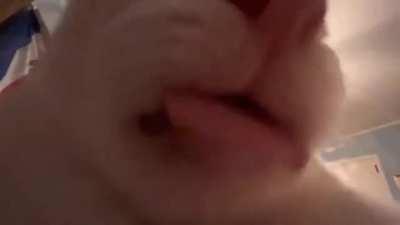 Look at this silly car ( it hates prime)