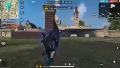 Orochinho_2 - Video #2354