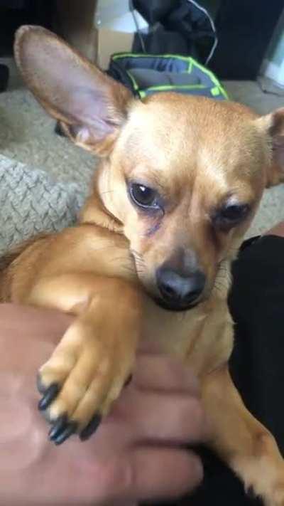 Jermaine made me do it