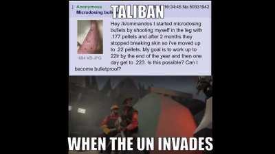 talban freedom fighters