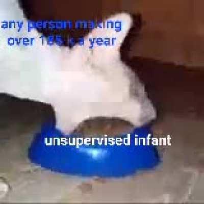 this includes people with green eyes