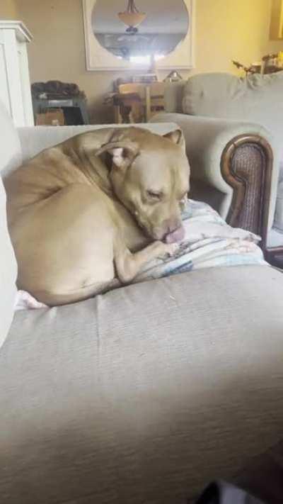 How’s it taste bro?