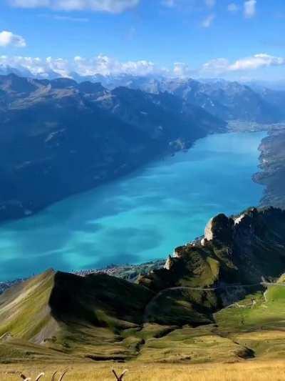 🔥 Wild Capricorn overlooking Lake Brienz in Switzerland