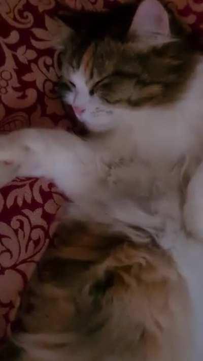 She sliding off but sleep is life