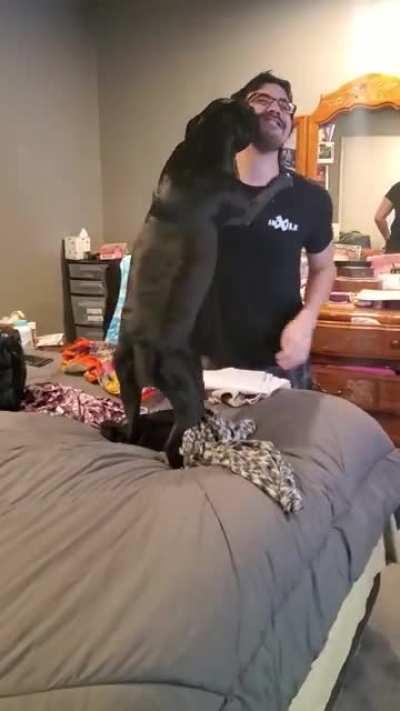 Surprising a sleeping pibble