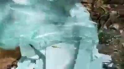 Хорошо в деревне летом - трупы кошек и собак...