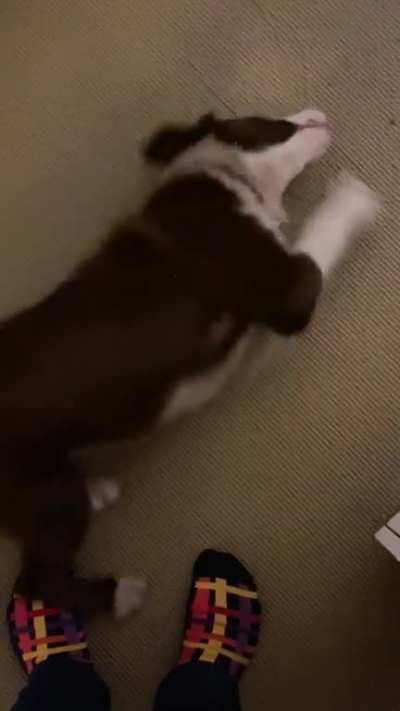 Every time she sees my bright socks