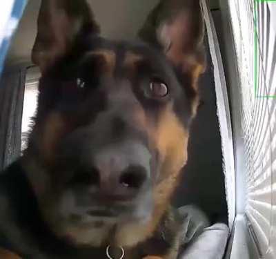 Motion detector detecting.