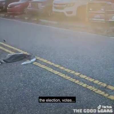 MAGA Karen can't handle the truth