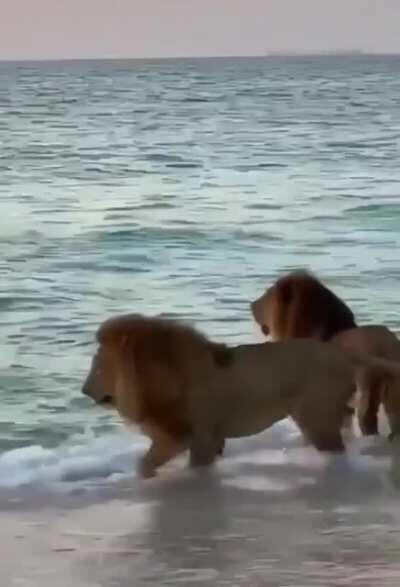 Достучались до небес