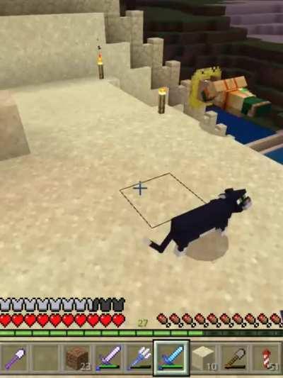 Villagers goes free bird