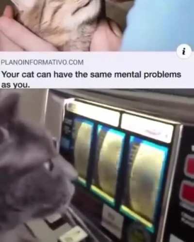 his ass WILL gamble his life savings away !!!