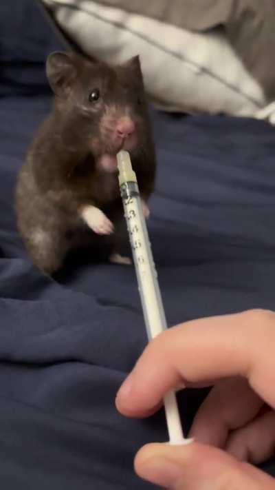 Fat Mama medicine time throwback